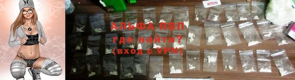 PSILOCYBIN Верея