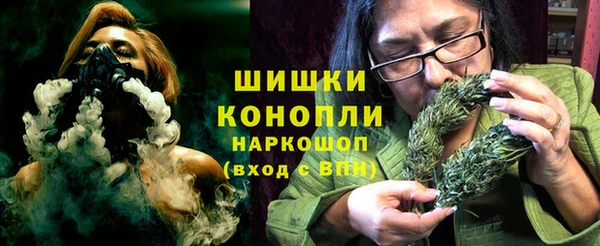 PSILOCYBIN Верея